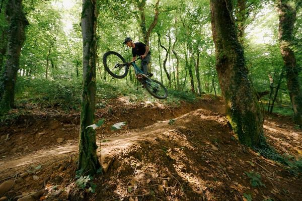 electric mountain bikes